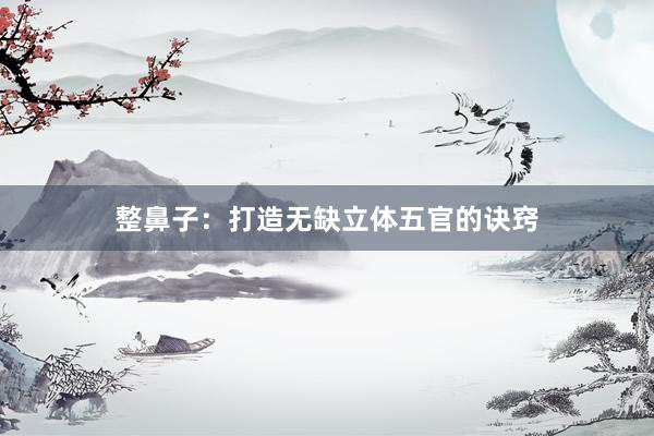 整鼻子：打造无缺立体五官的诀窍
